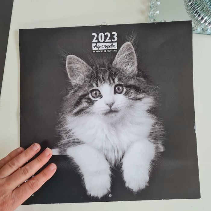 Calendrier chats 2023