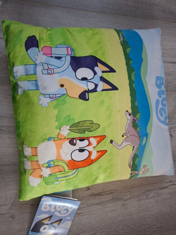 Coussin - photo numéro 3