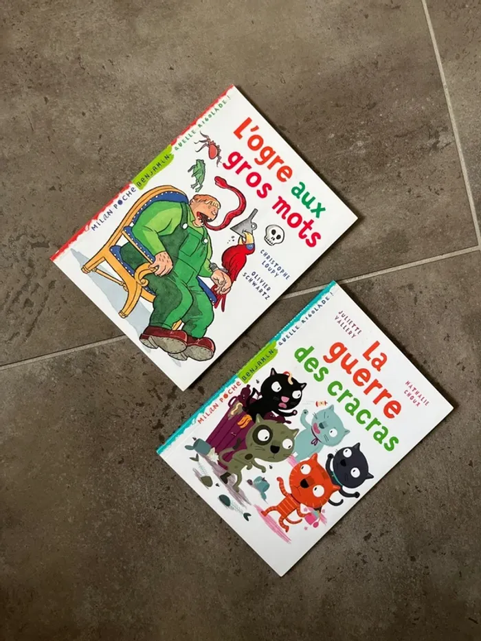 Lot de 2 livres 6/7 ans premières lectures