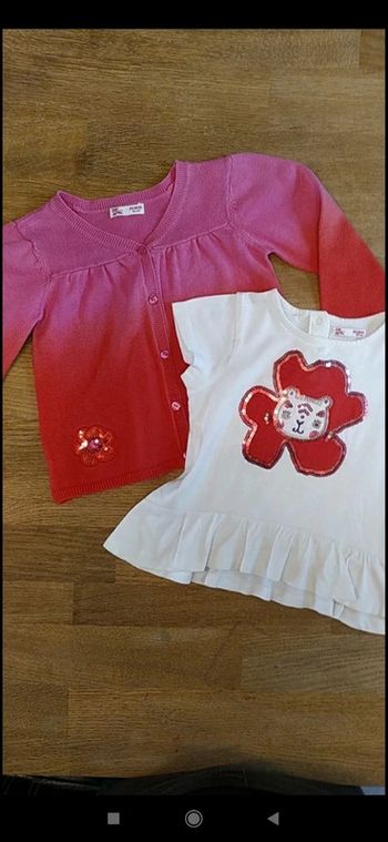 Gilet et tee-shirt DPAM 24 mois