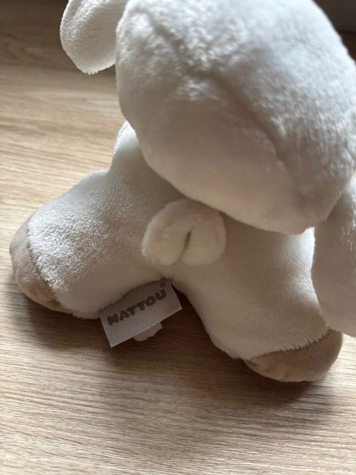 Doudou - photo numéro 3