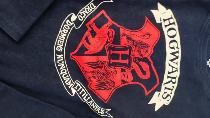 Lot Tee shirt manches longues - photo numéro 7