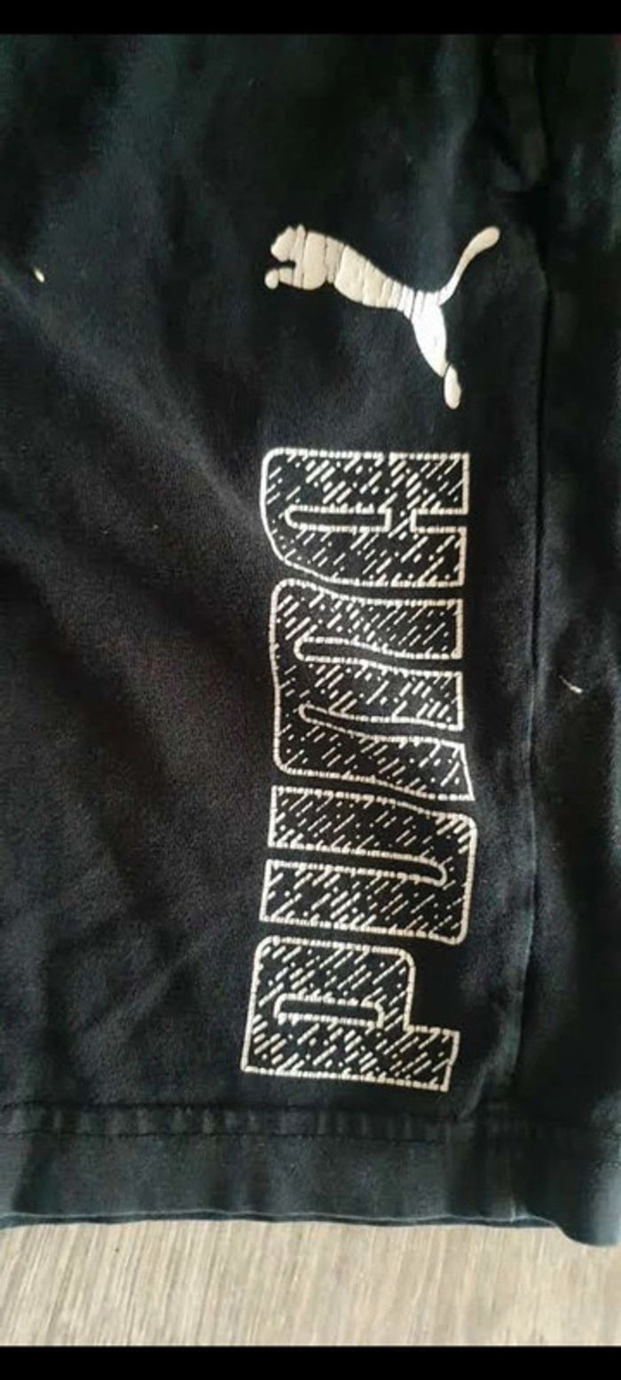 Short puma - photo numéro 4