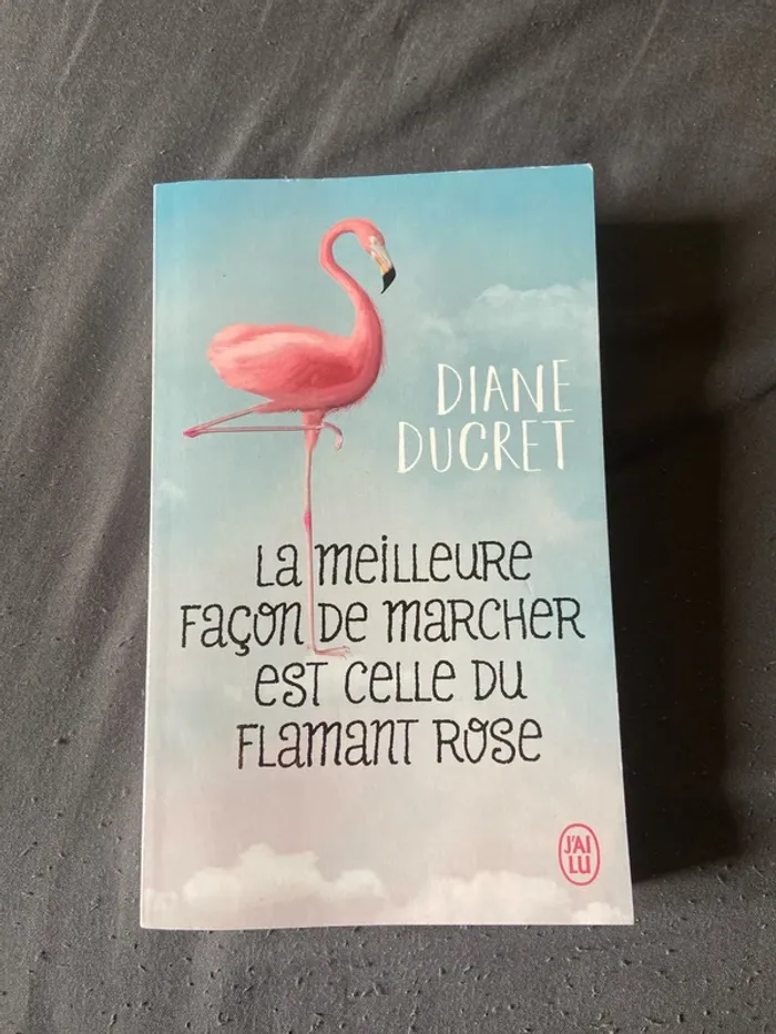 Roman « la meilleure façon de marcher est celle du flamant rose »