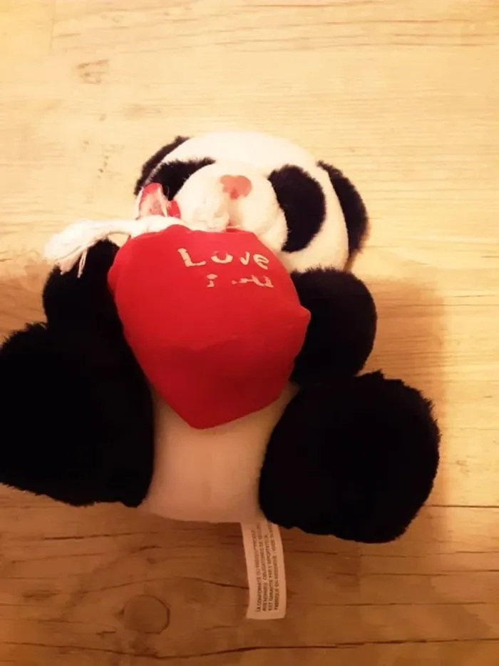 Panda - photo numéro 2