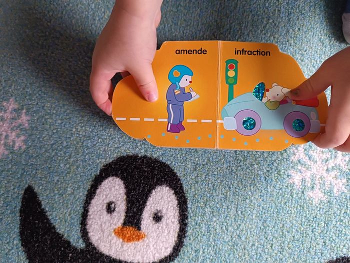 Livre police - photo numéro 5