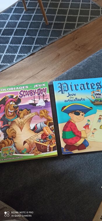 2 cahiers d activites maternelle