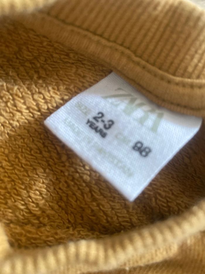 Sweat garçon - photo numéro 3