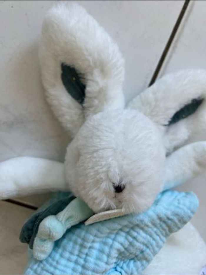 Doudou et compagnies - photo numéro 5