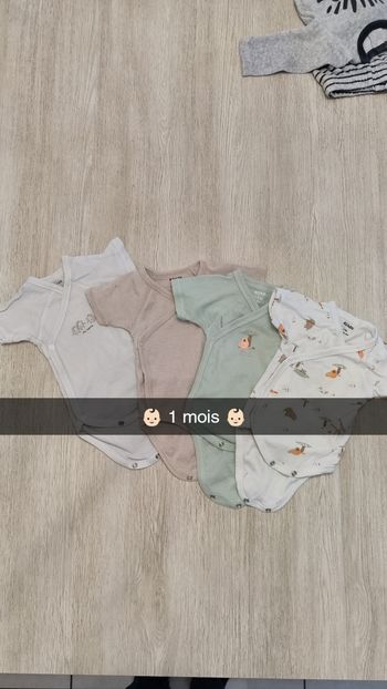 Bodies 1 mois