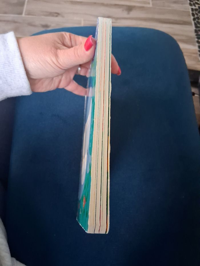 Livre - photo numéro 5