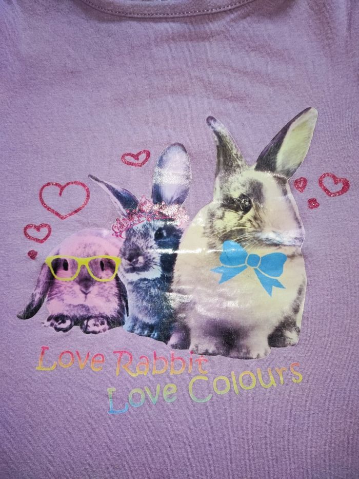 Tee shirt 23 mois lapin đ° - photo numĂ©ro 2