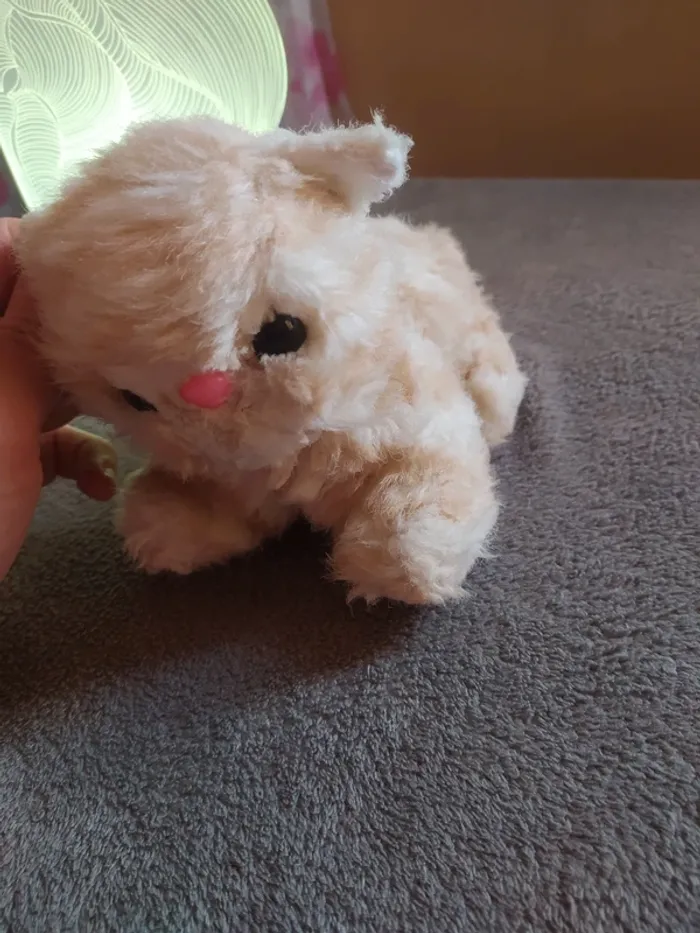 Peluche chat 🐱😺 - photo numéro 5