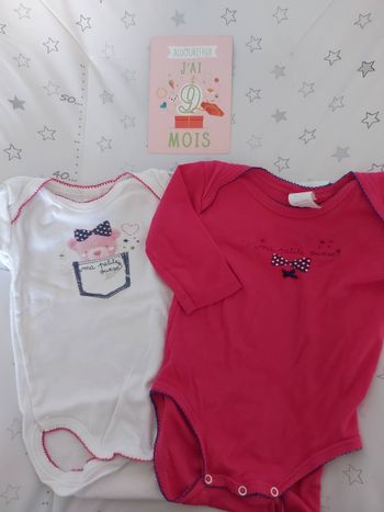 Lot 2 bodies absorba 9 mois