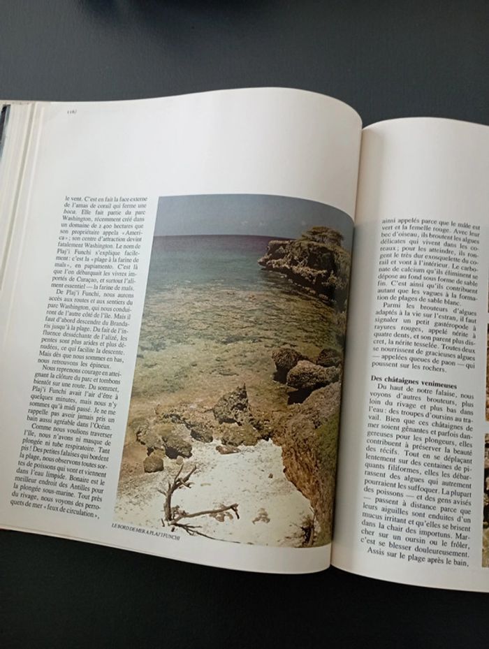 Le crime du golf - photo numéro 8