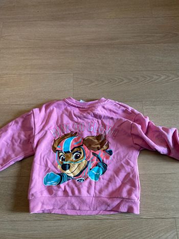 Pull pas patrol