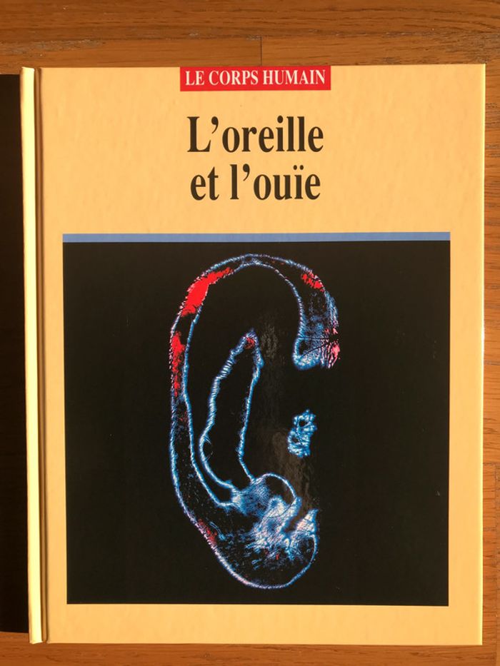 L’oreille et l’ouïe - Collection « Le corps humain »