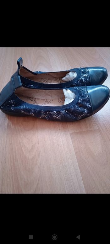 Ballerines fugitive