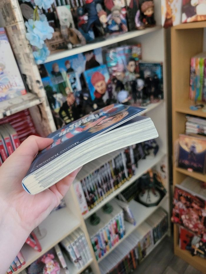 Manga viland saga tome 1 - photo numéro 4