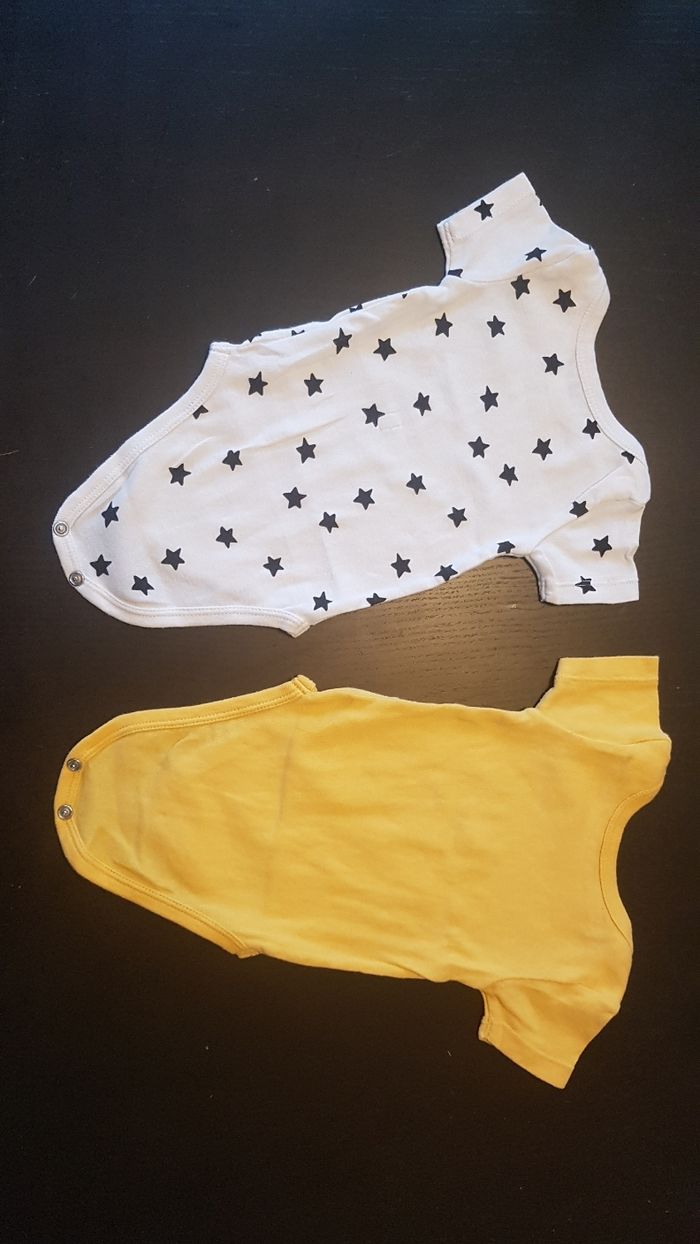Lot de 5 bodys manches courtes - photo numéro 6