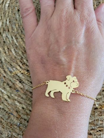 Bouledogue acier inoxydable