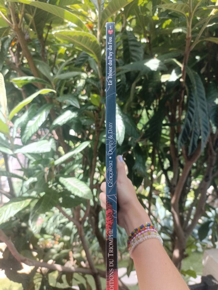 Livre le trésor du puy du fou. - photo numéro 3