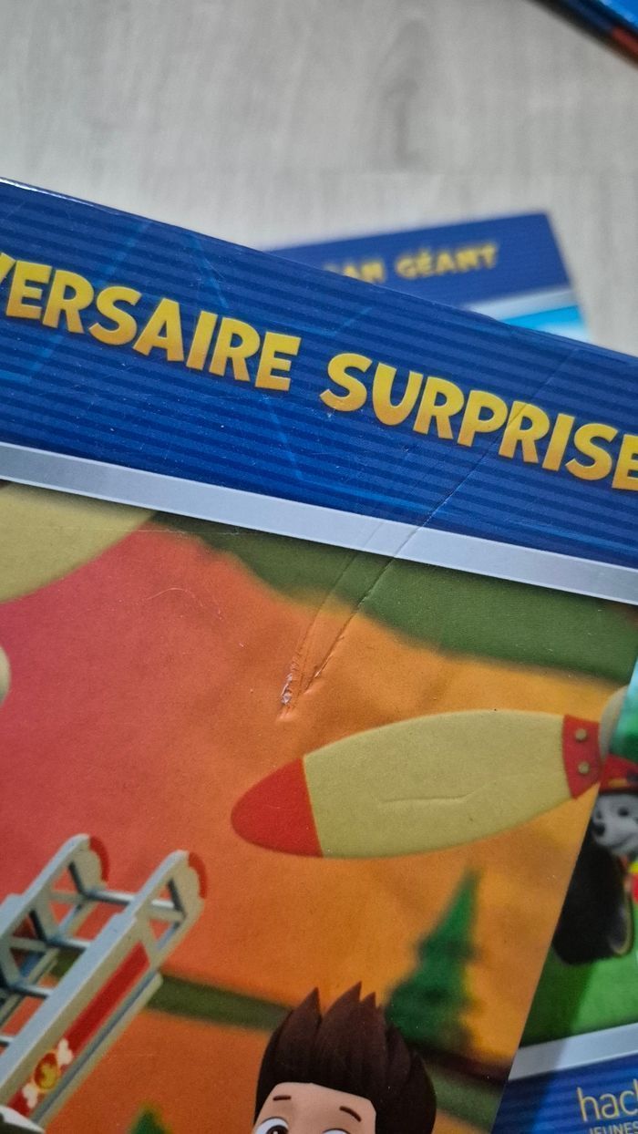 Livres pat patrouille - photo numéro 7