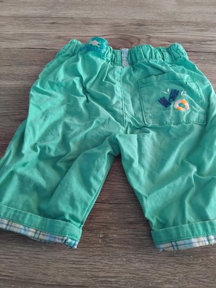 Bermuda sergent major - photo numéro 6