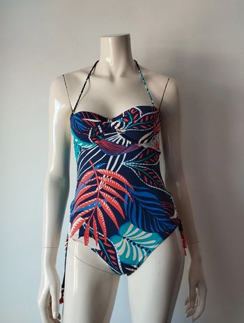 Une pièce possibilité bandeau Rougegorge FR85A