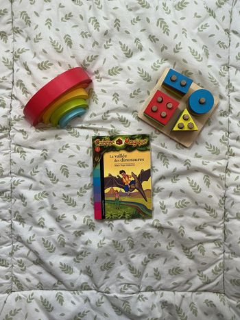 livre la cabane magique tome 1 la vallée des dinosaures