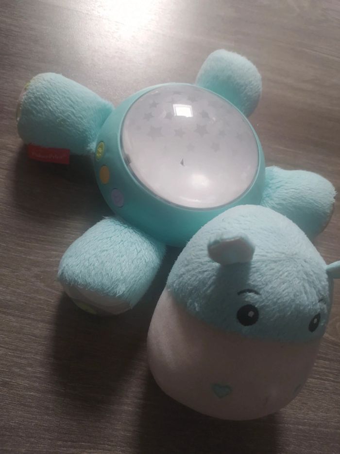 Hippo projection