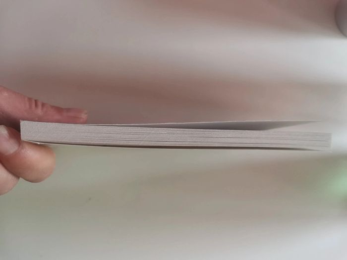 Véronique Olmi Sa passion - photo numéro 4