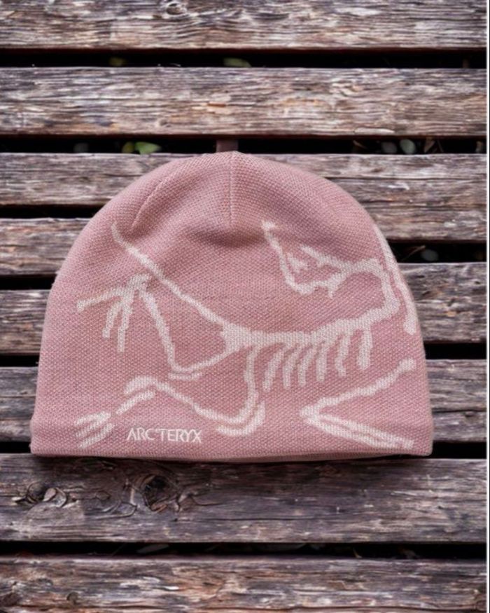 Bonnet arc’teryx bird head toque rose