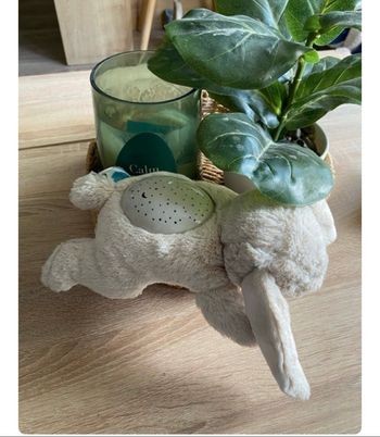 Veilleuse lapin beige cloud B