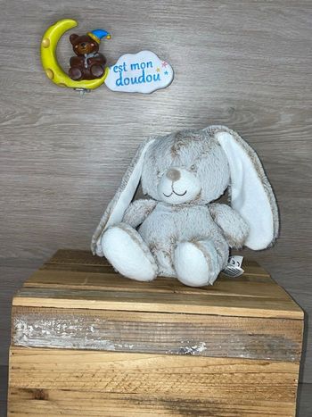 TEX68 doudou lapin 🐰 tex