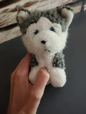 🐻Peluche Husky 🐻