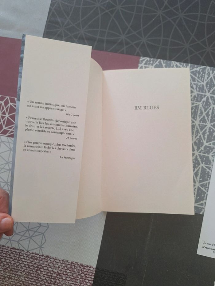 Livre BM Blues - photo numéro 3