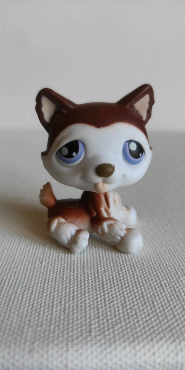 My littlest petshop chien lps husky 427