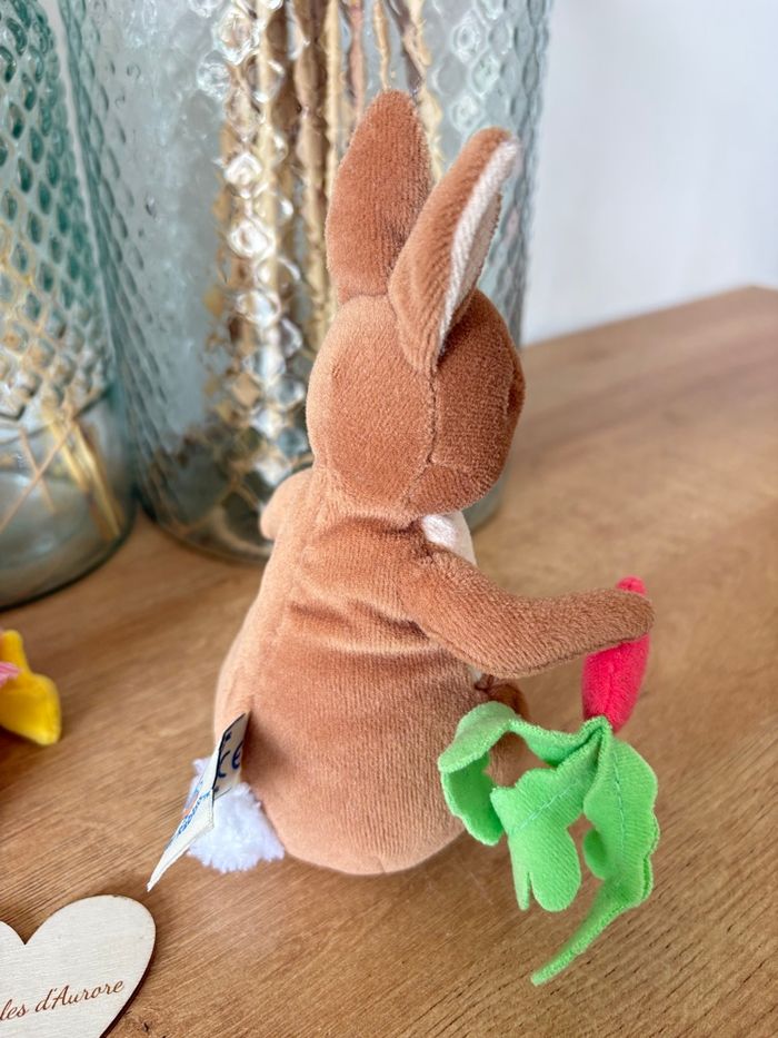 Peter rabbit et Sophie canetang - photo numéro 3