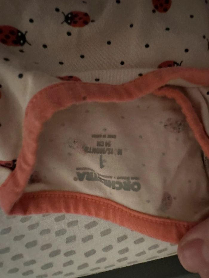 Lot de bodies - photo numéro 7