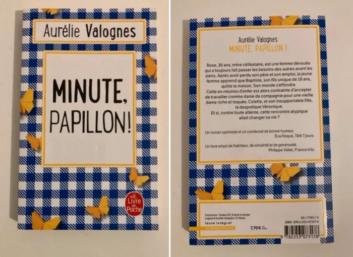 Livre " minute papillon"