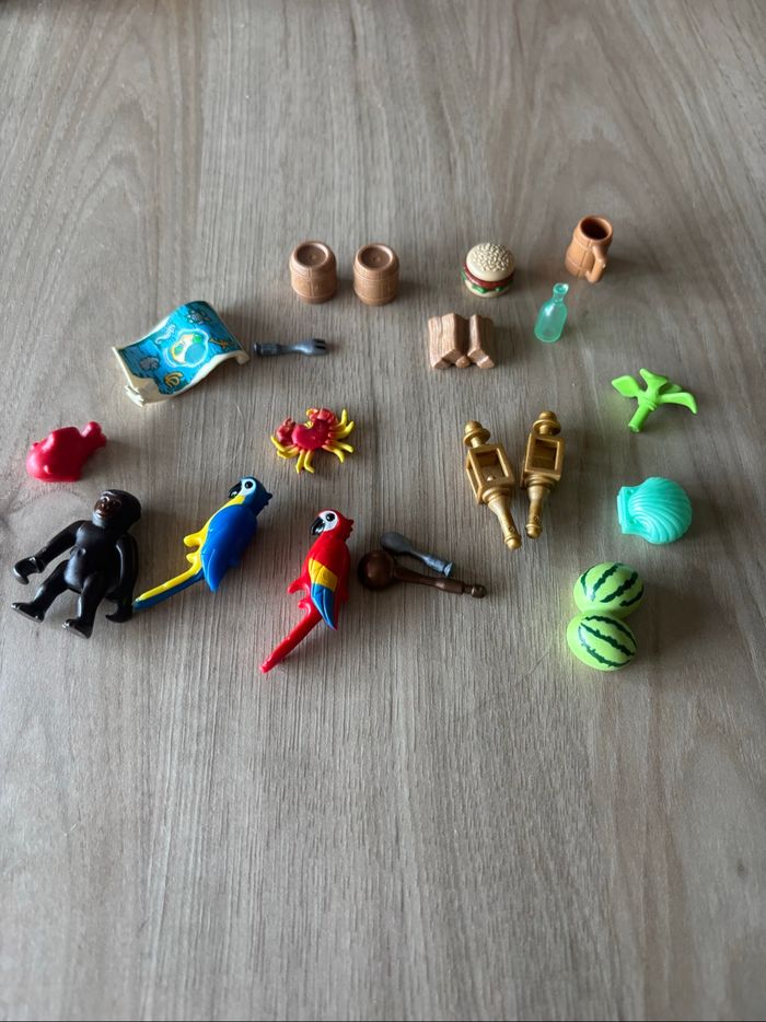 Lot Playmobil Pirate - photo numéro 7