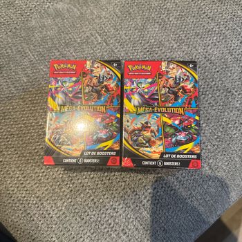 Lot de 2 bundles ME01