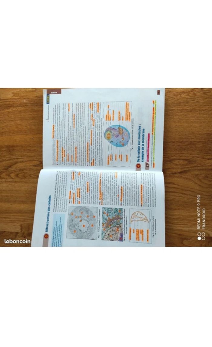 Tout en un BAC ST2S - photo numéro 5