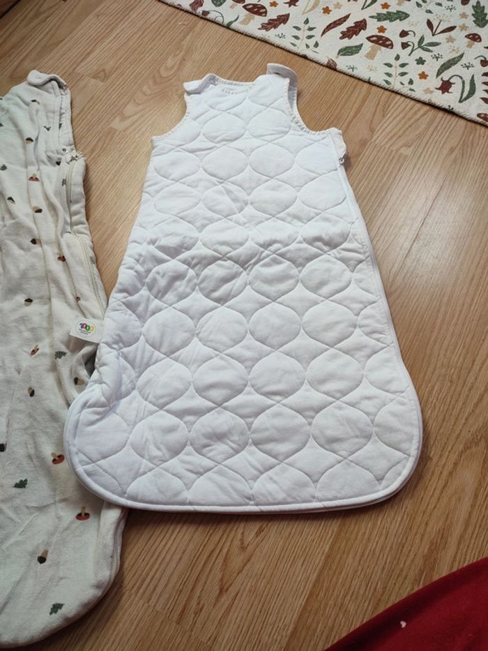 Gigoteuse - photo numéro 2