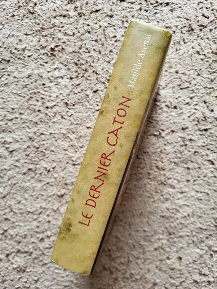 Livre Le Dernier Caton de Matilde Asensi - Thriller historique - photo numéro 4