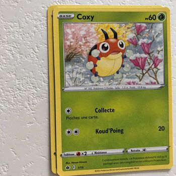 Pokémon coxy