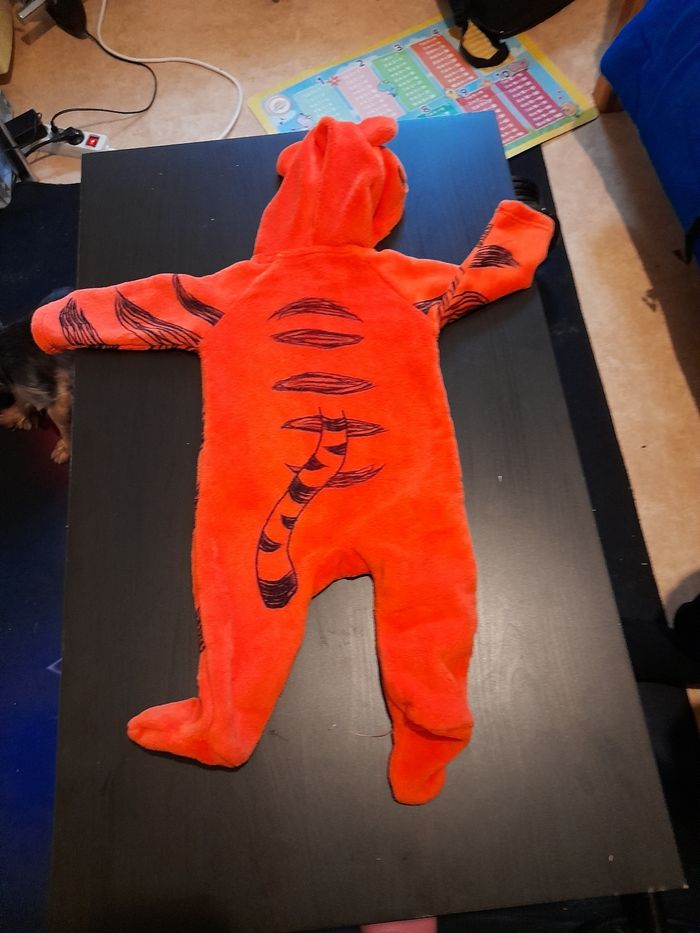 Combinaison tigrou - photo numéro 2