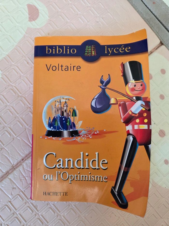 Candide ou l’optimisme