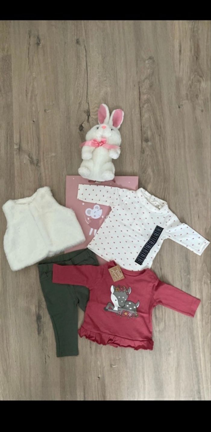 Ensemble bébé fille taille 3 mois + sac cadeau neuf